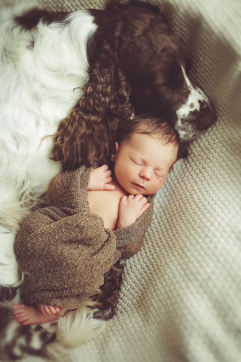 Newbornshooting mit Hund